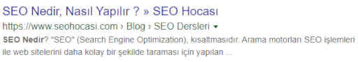 seo nedir